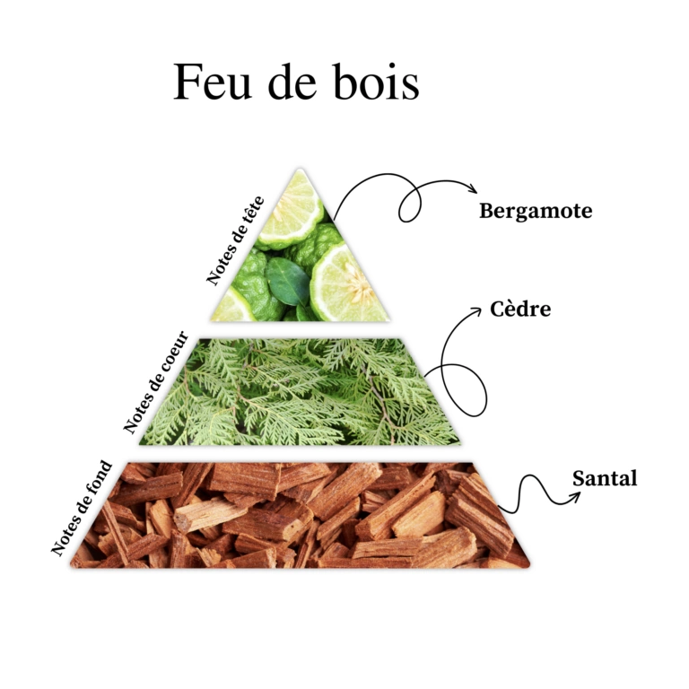 WINNIE MAXI – Image 4