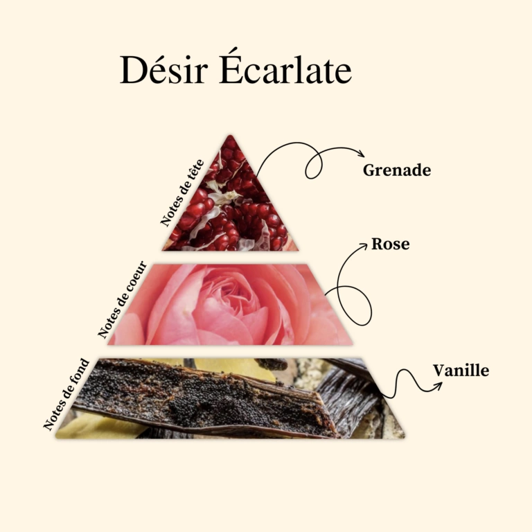 ISABELLE – Image 3