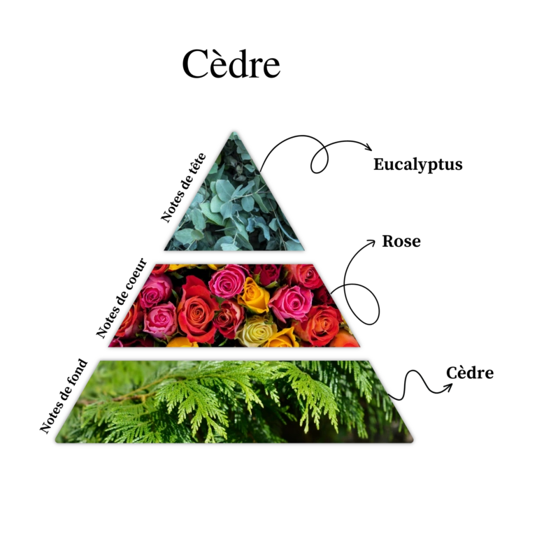 SILLAGE D ÉBÈNE – Image 2